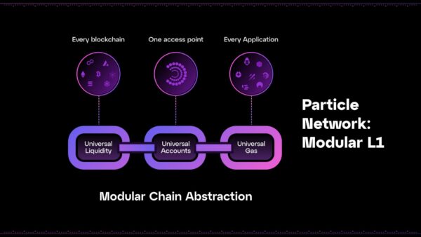 Particle Networkのプロダクト