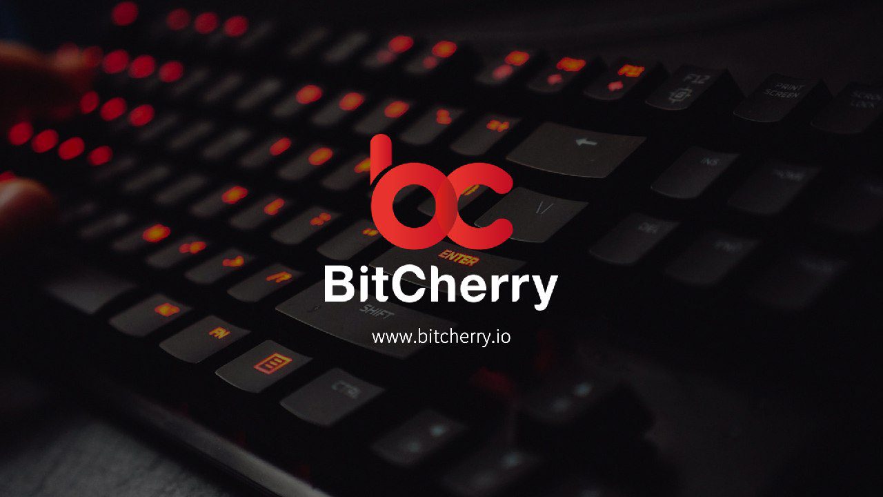 BitCherry についてプロジェクト概要を解説 | TOKEN ECONOMIST