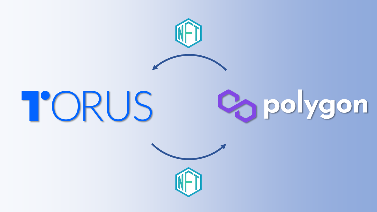 Torus Wallet x Polygon から見るNFTマーケティングの可能性 | TOKEN ECONOMIST